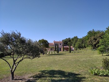 lawn