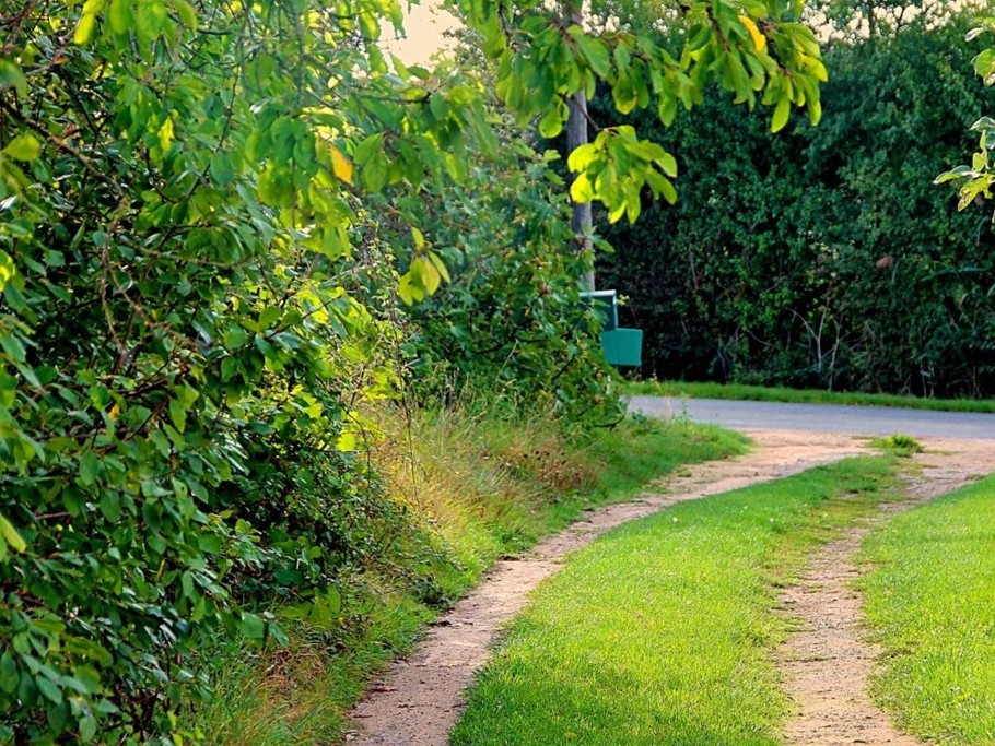 Le gite du Figuier à Beaugeay en Charente maritime
