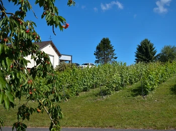 Photo n° 15 de la location