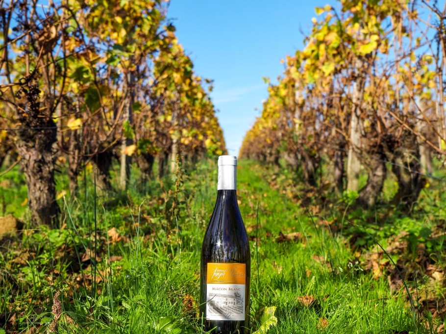 Photo n° 17 of the location