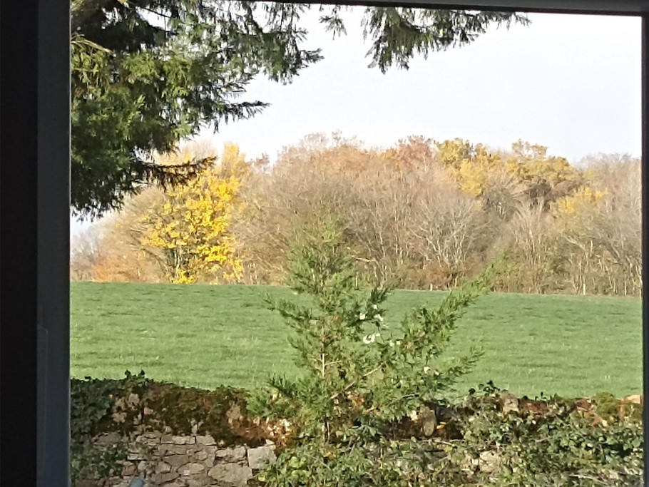 Vue chambre 1000 Pattes