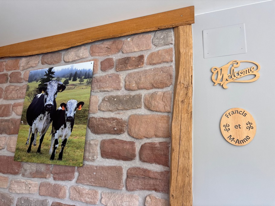 Salon - Gîte Chez Louis, Lépanges-sur-Vologne