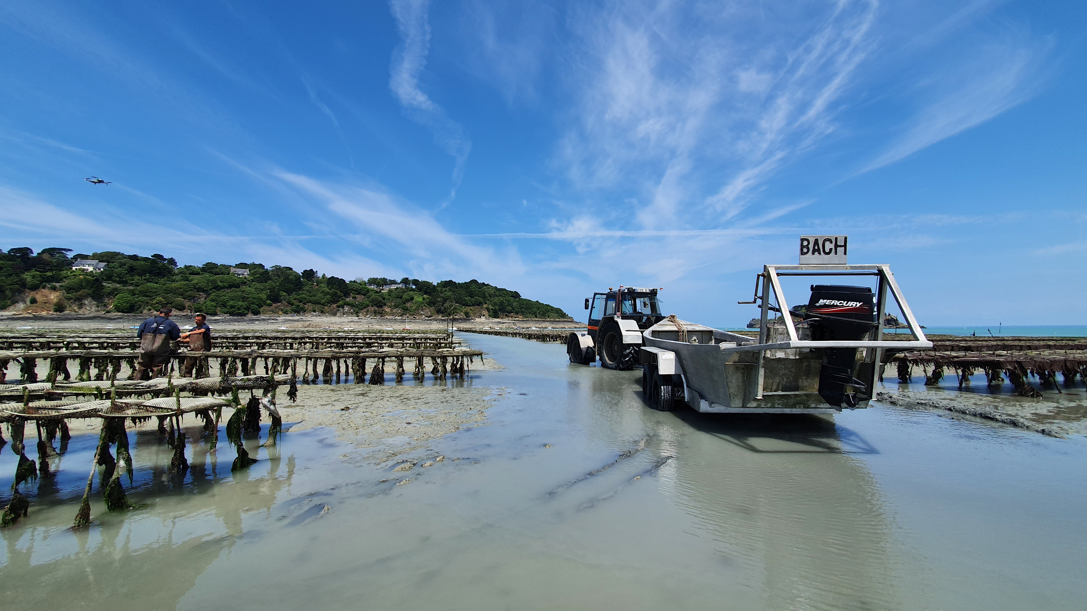 Les parcs à huîtres à Cancale