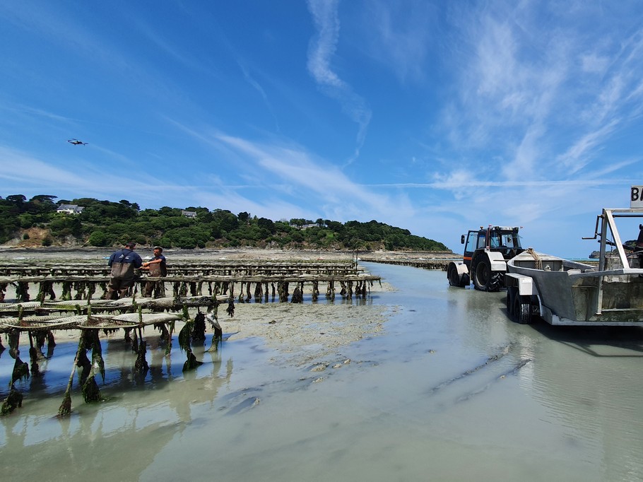 Les parcs à huîtres à Cancale