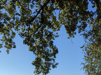 Photo n° 13 of the location