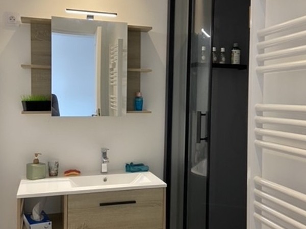 Salle d'eau avec douche grande dimension, produits de toilettes et sèche-cheveux.