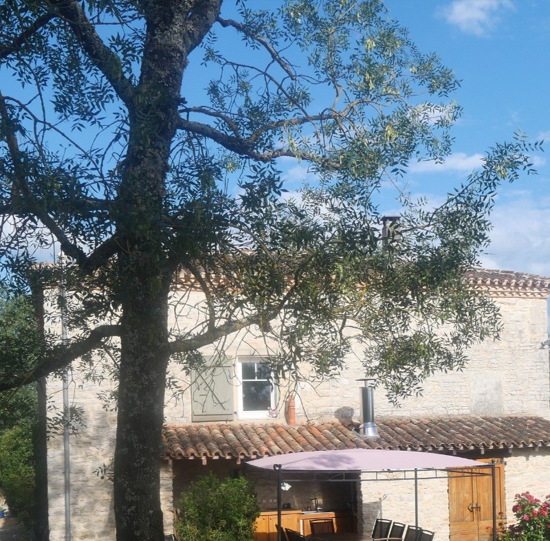 Cuisine extérieure maison Barbecue, évier, LV, frigo, vaisselle