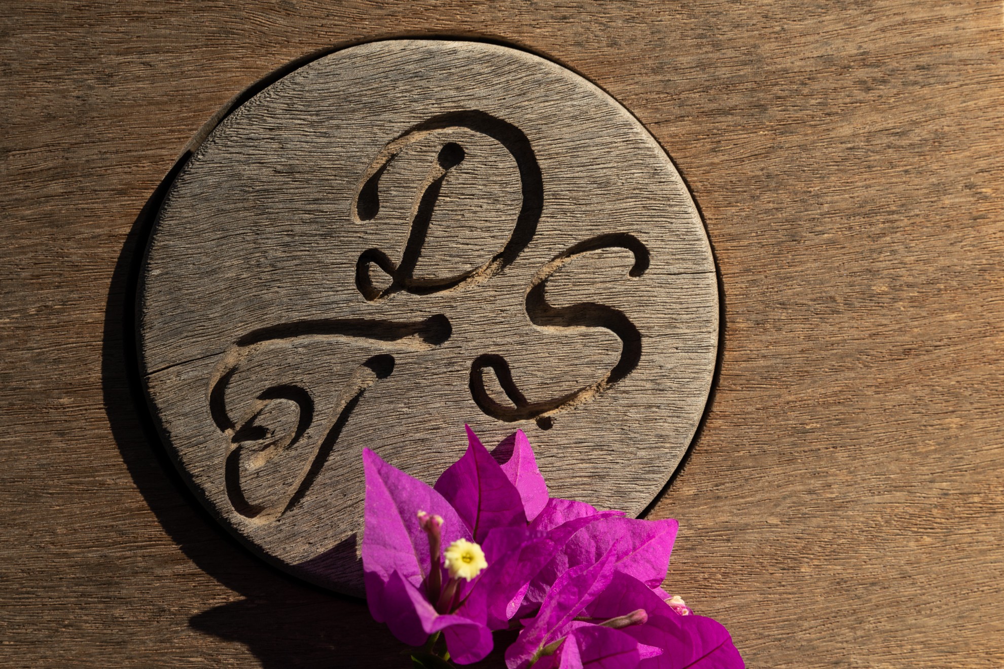 Photo n° 2 of the location