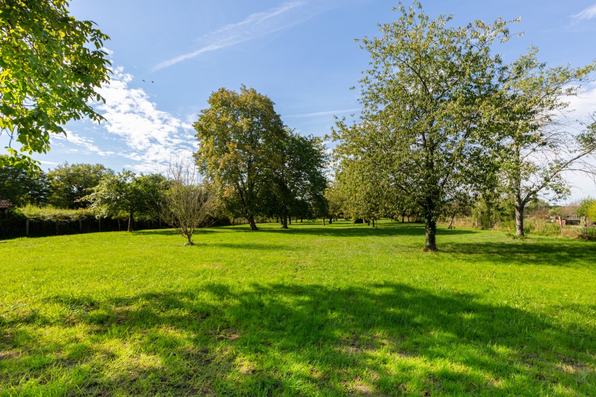 Photo n° 19 de la location