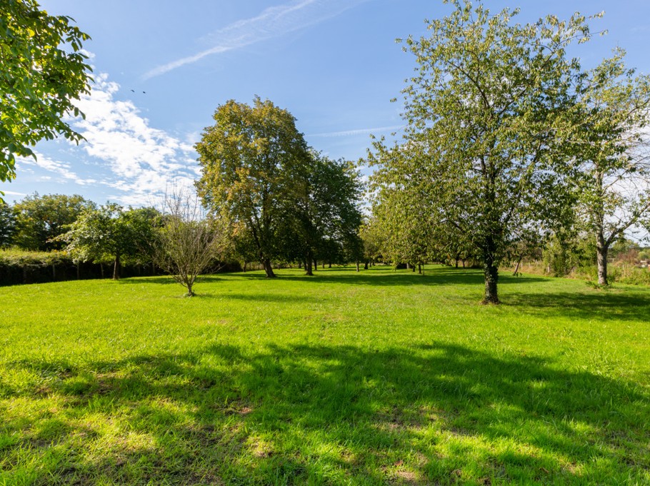 Photo n° 18 de la location