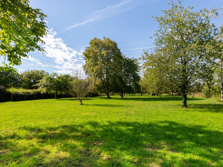 Photo n° 19 of the location