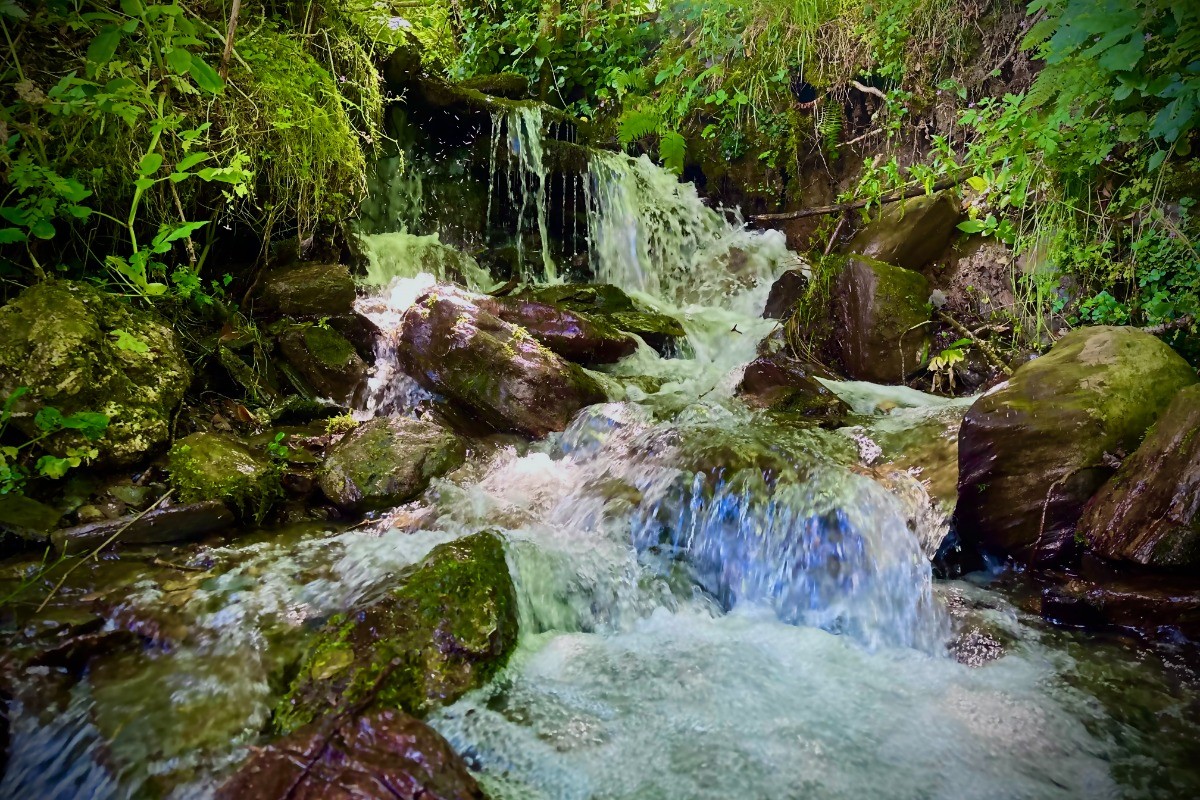 torrent en bordure de terrain