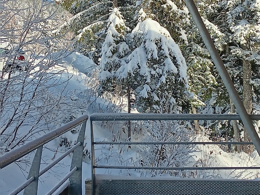 View from the balcony