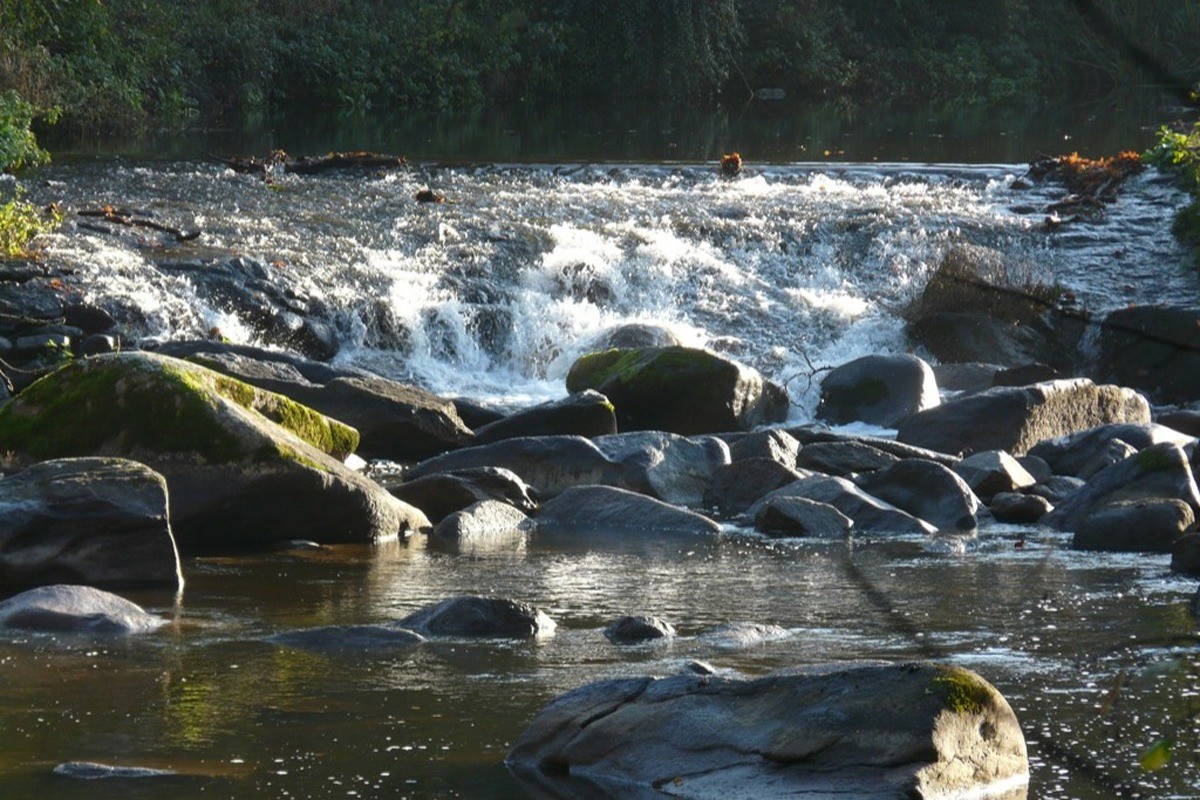 "chaussée" sur la Sèvre Nantaise