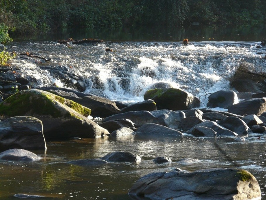 "chaussée" sur la Sèvre Nantaise