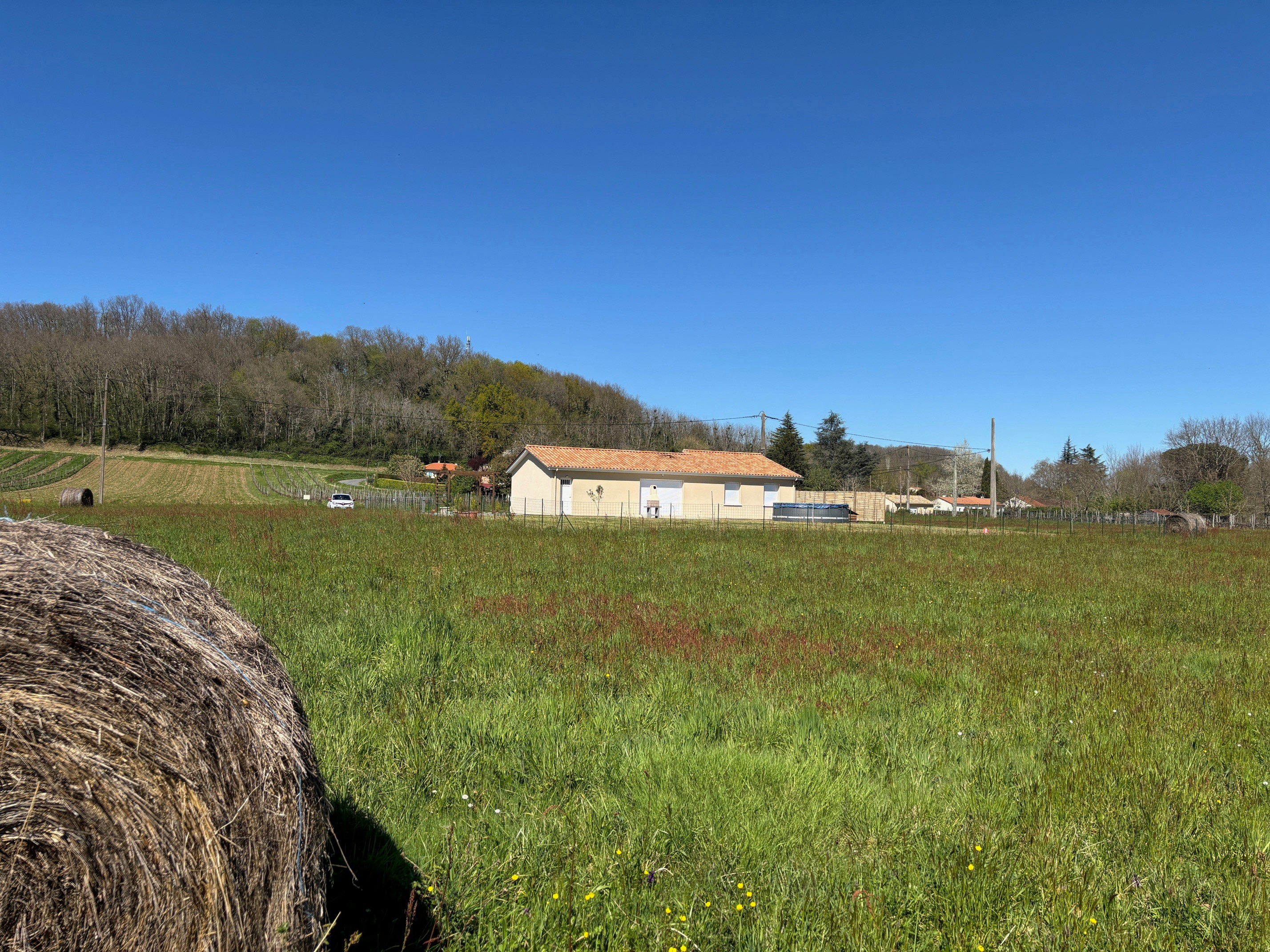 Photo n° 8 de la location