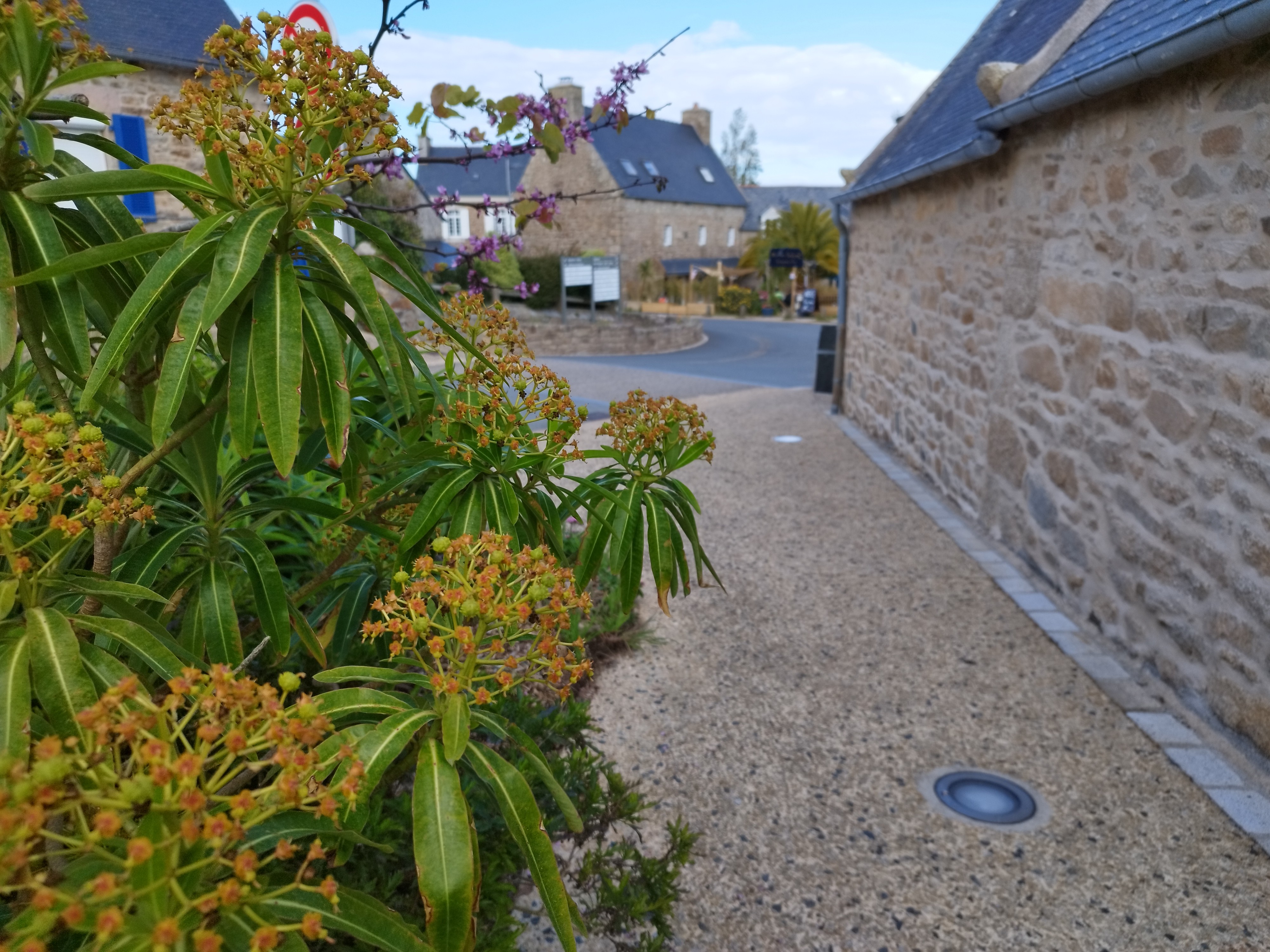 Our lovely village, Trélévern