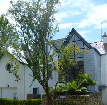 jardin à l'arrière de la maison