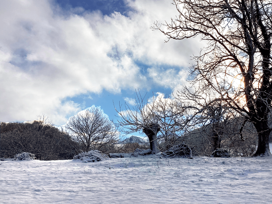 Photo n° 12 de la location