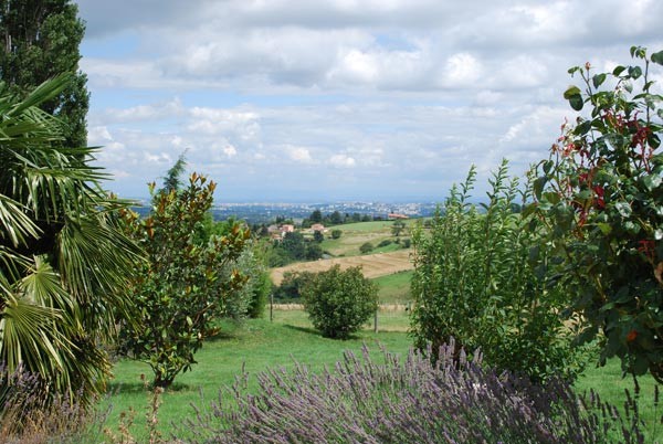 paysage vue du mas