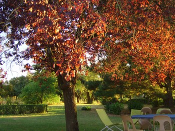 coucher de soleil au jardin