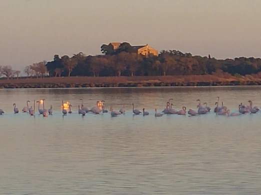 Image n° 1 de la location