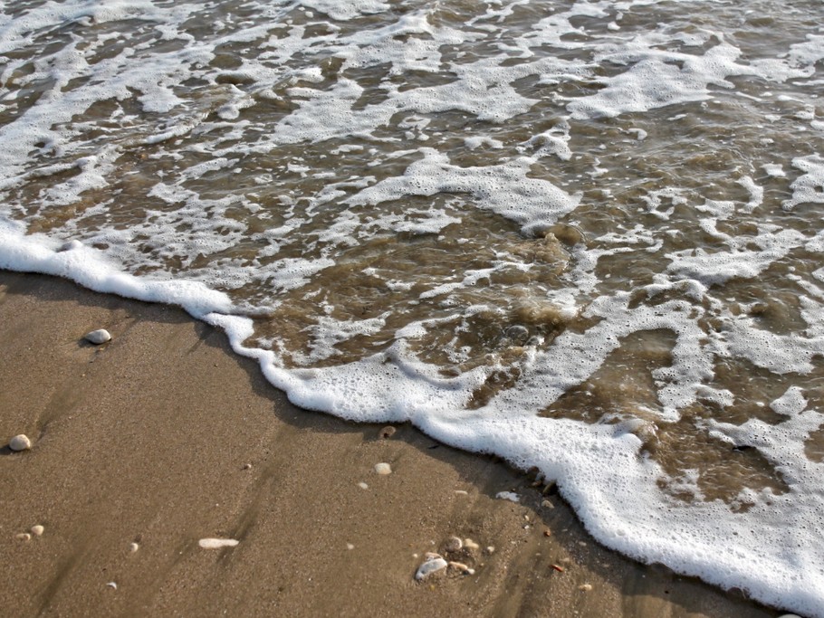 Photo n° 10 de la location