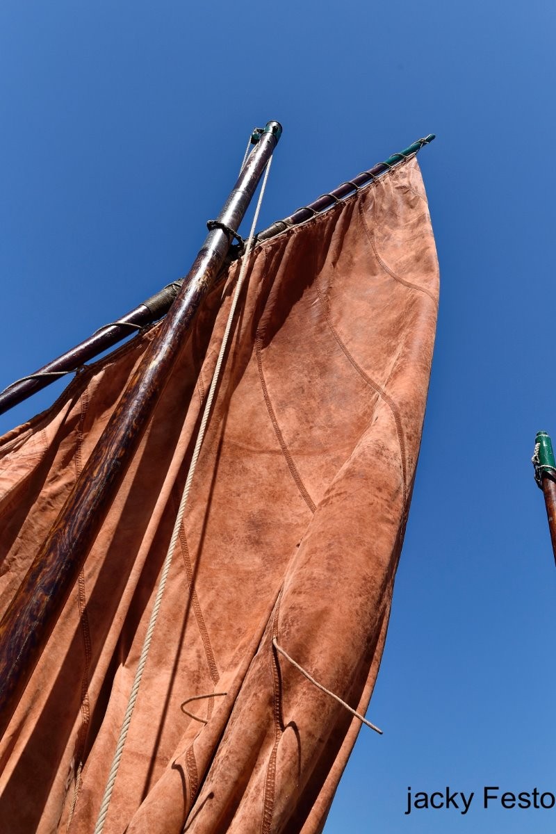 la voile du Rigolo,un sardinier du début du siècle et toujours a Doêlan.