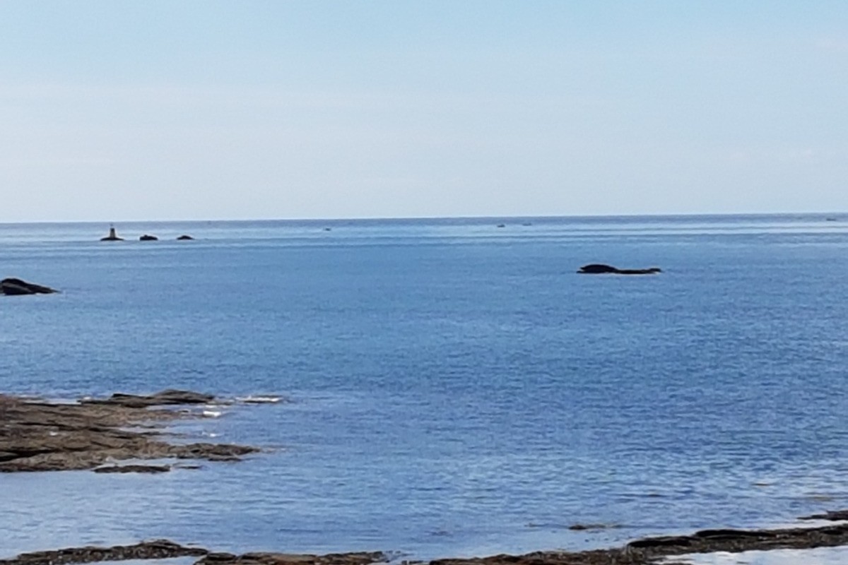 Photo n° 18 de la location