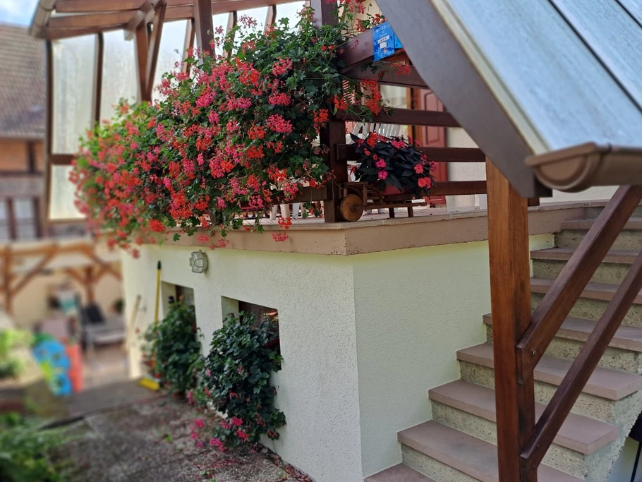 Photo n° 6 of the location