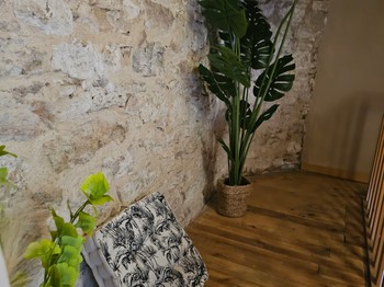 Gîte la Passerelle - Albi dans le Tarn en Occitanie