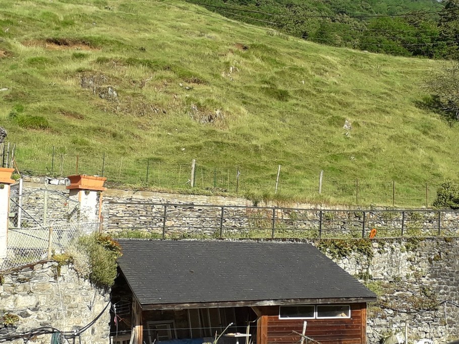 Vue depuis la chambre