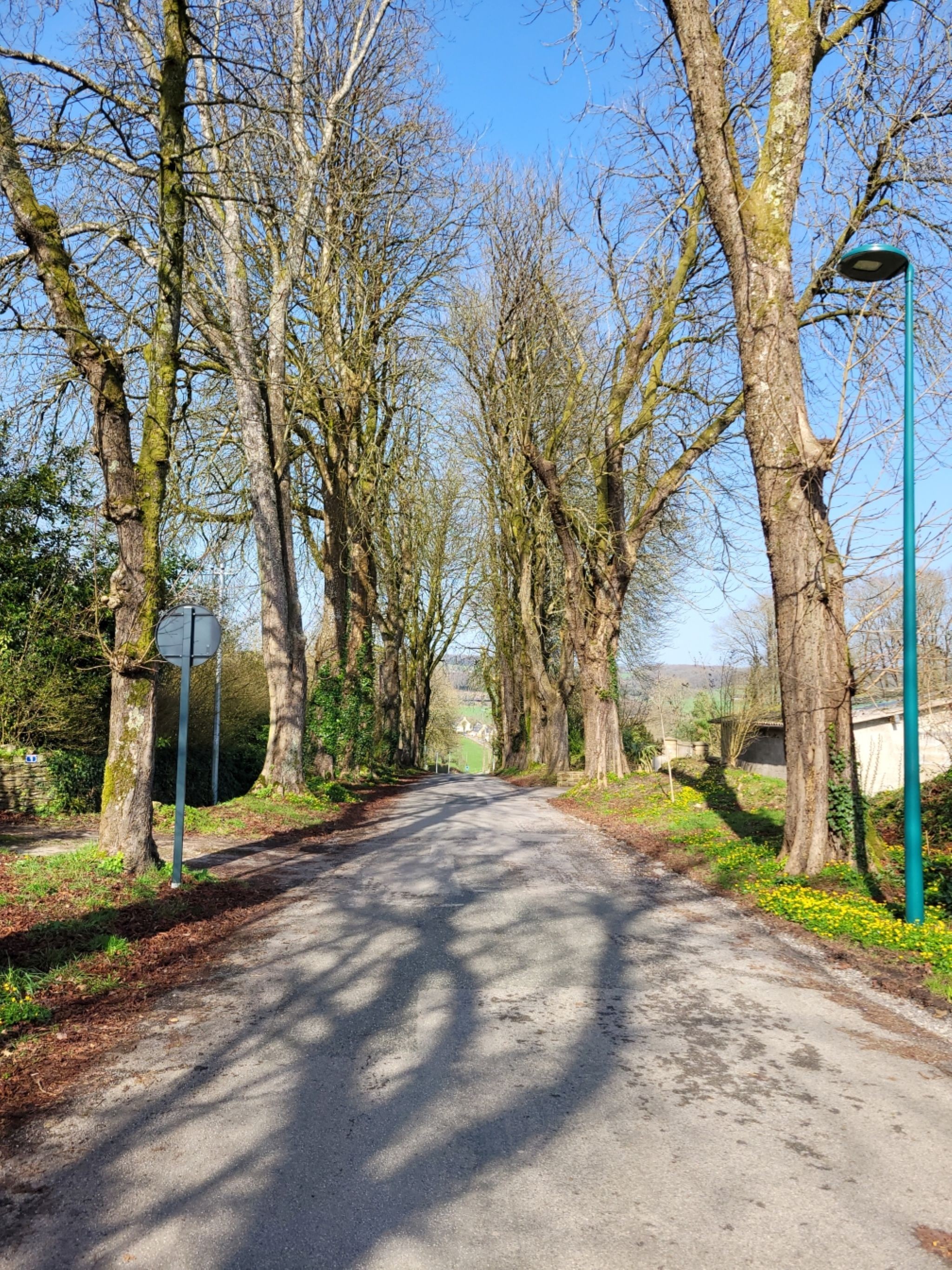 Jardin arboré