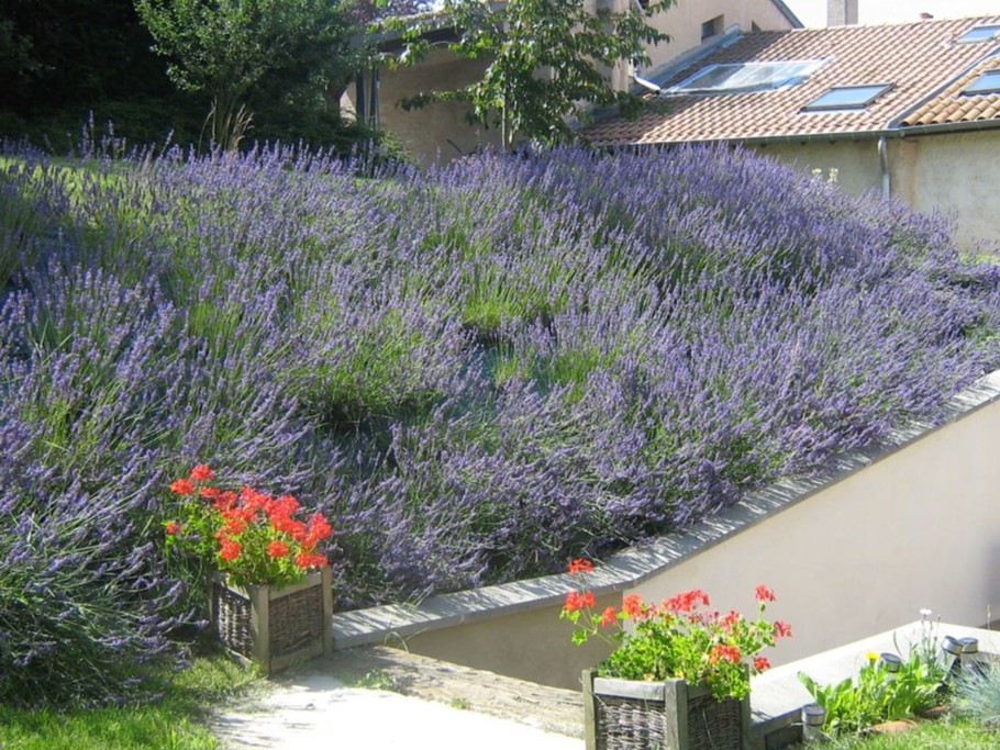 Photo n° 8 of the location