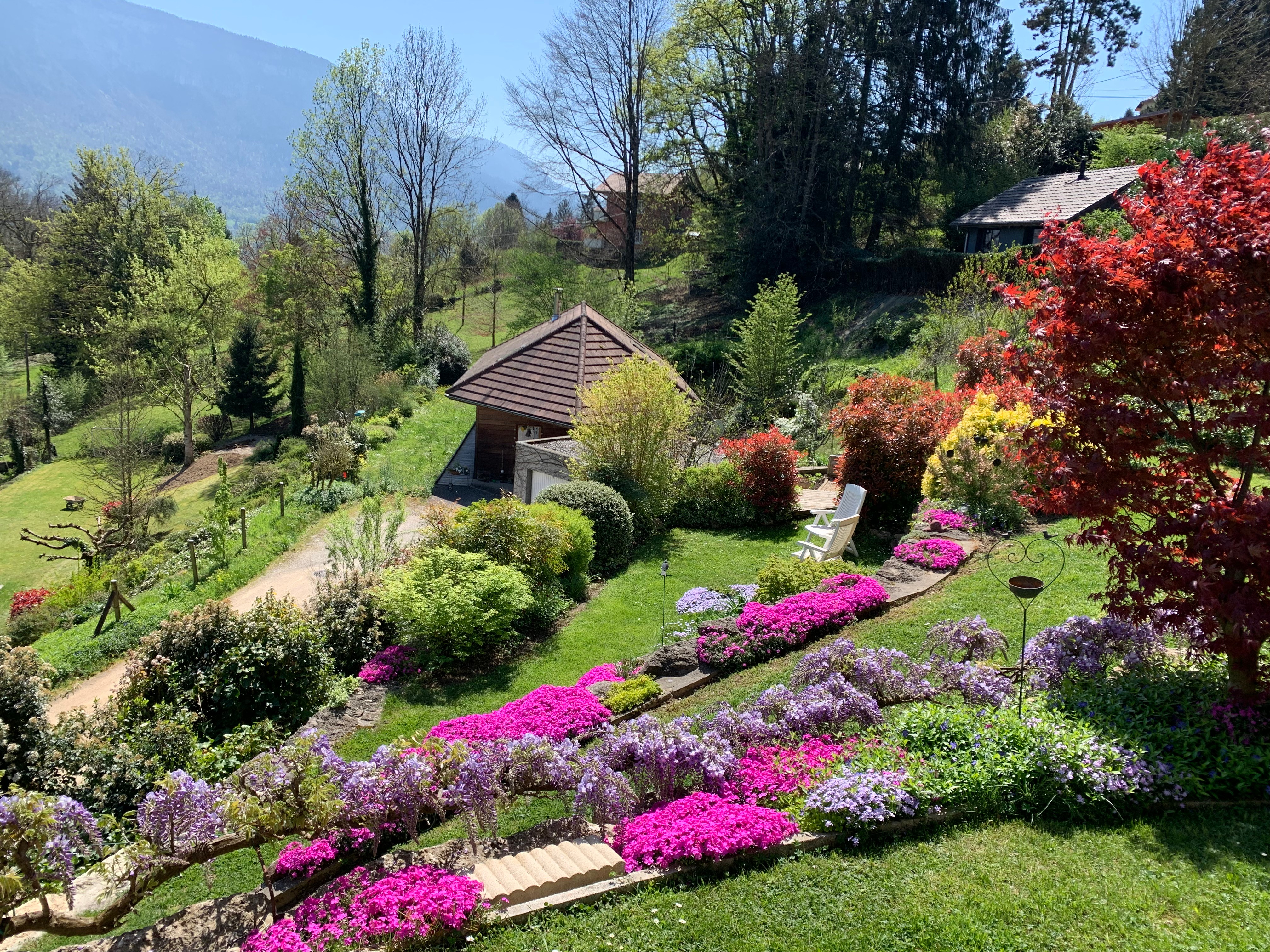 Floraison en Mai