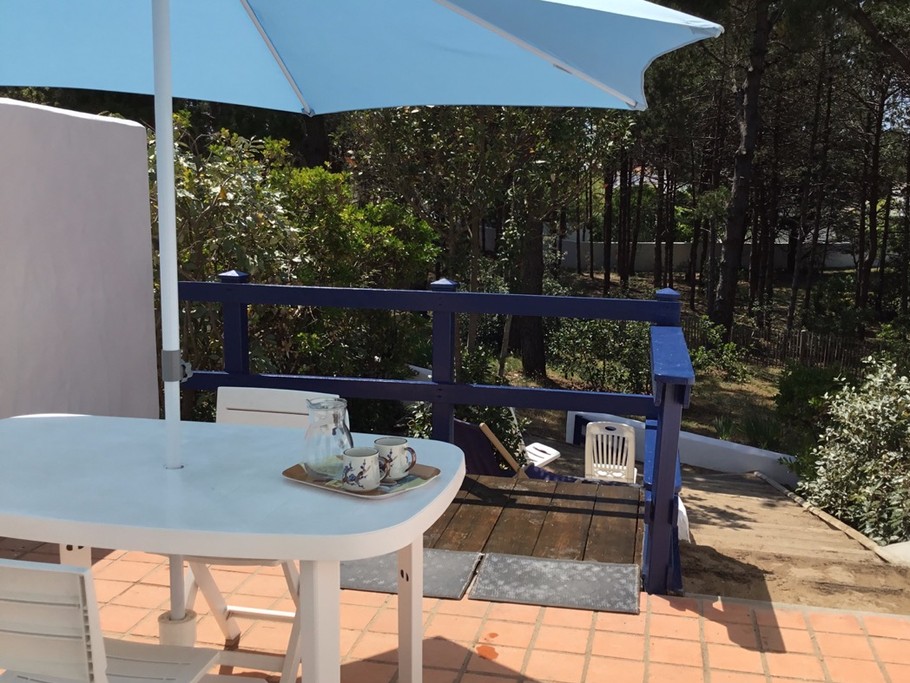 Terrasse arrière côté pinède