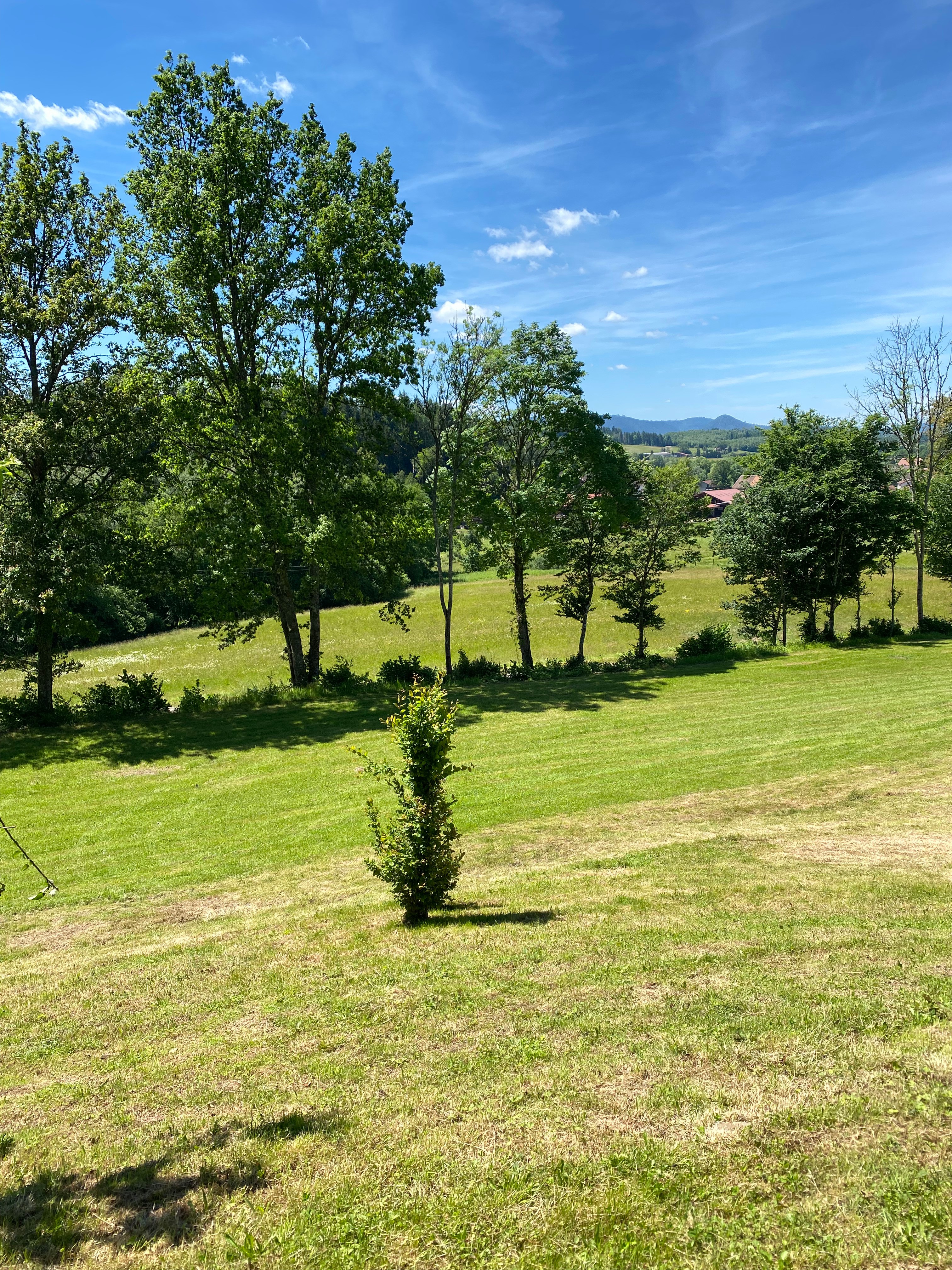 Jardin  - Appartement Le Grimaubois