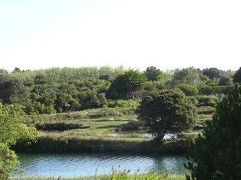 Jardin