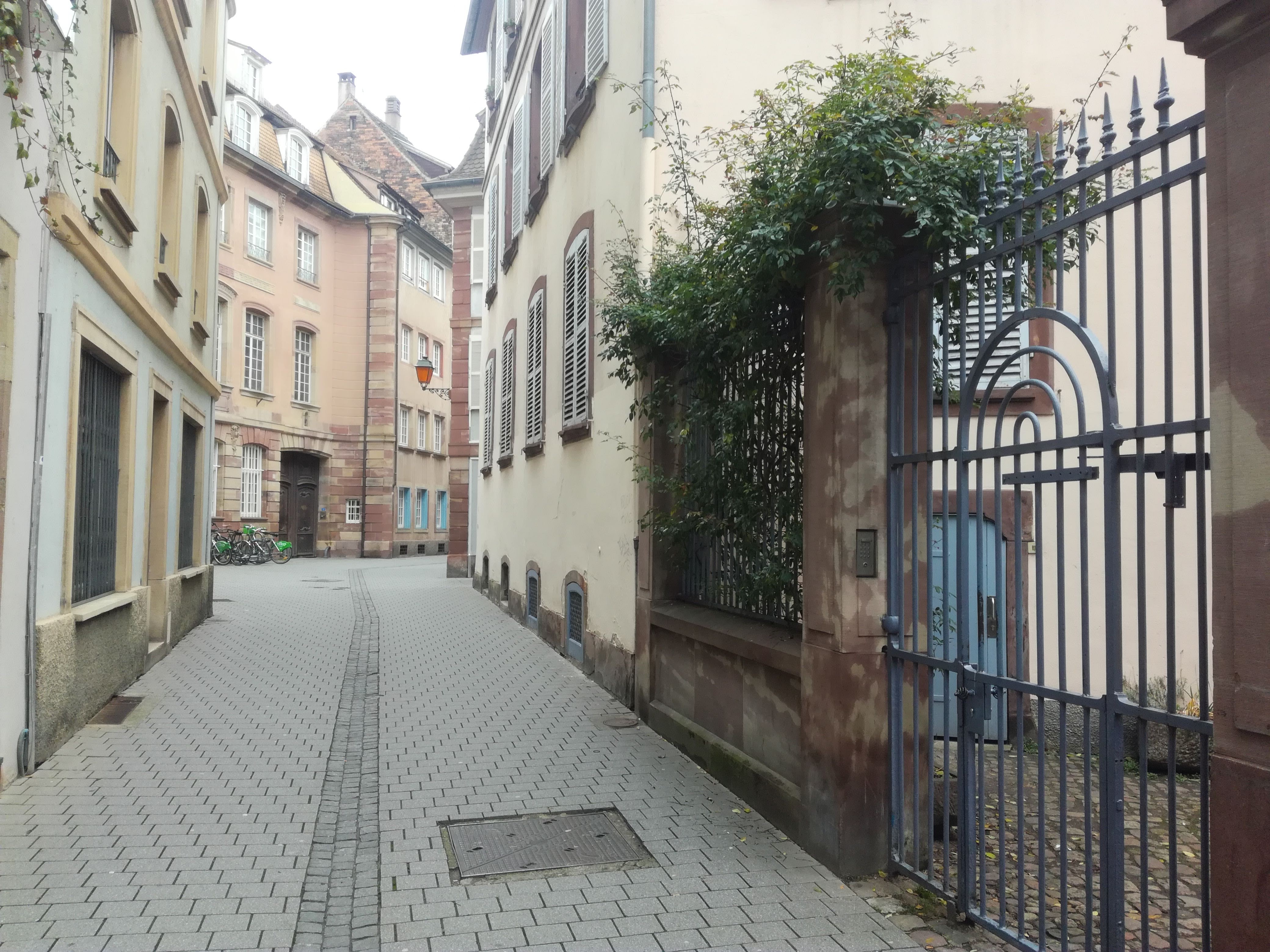 Rue de sCharpentiers Gîte Cathédrale Strasbourg