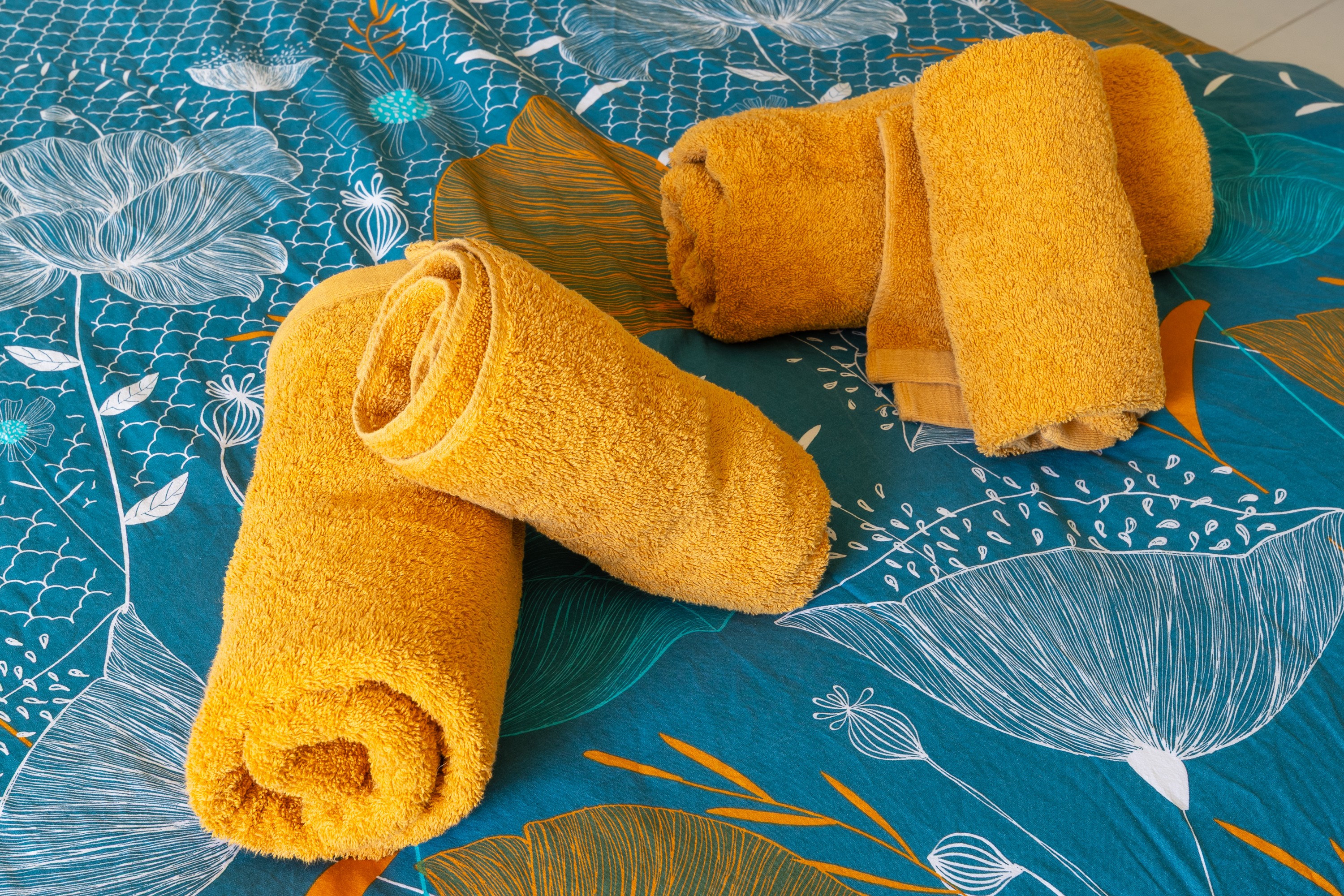 Photo n° 15 de la location