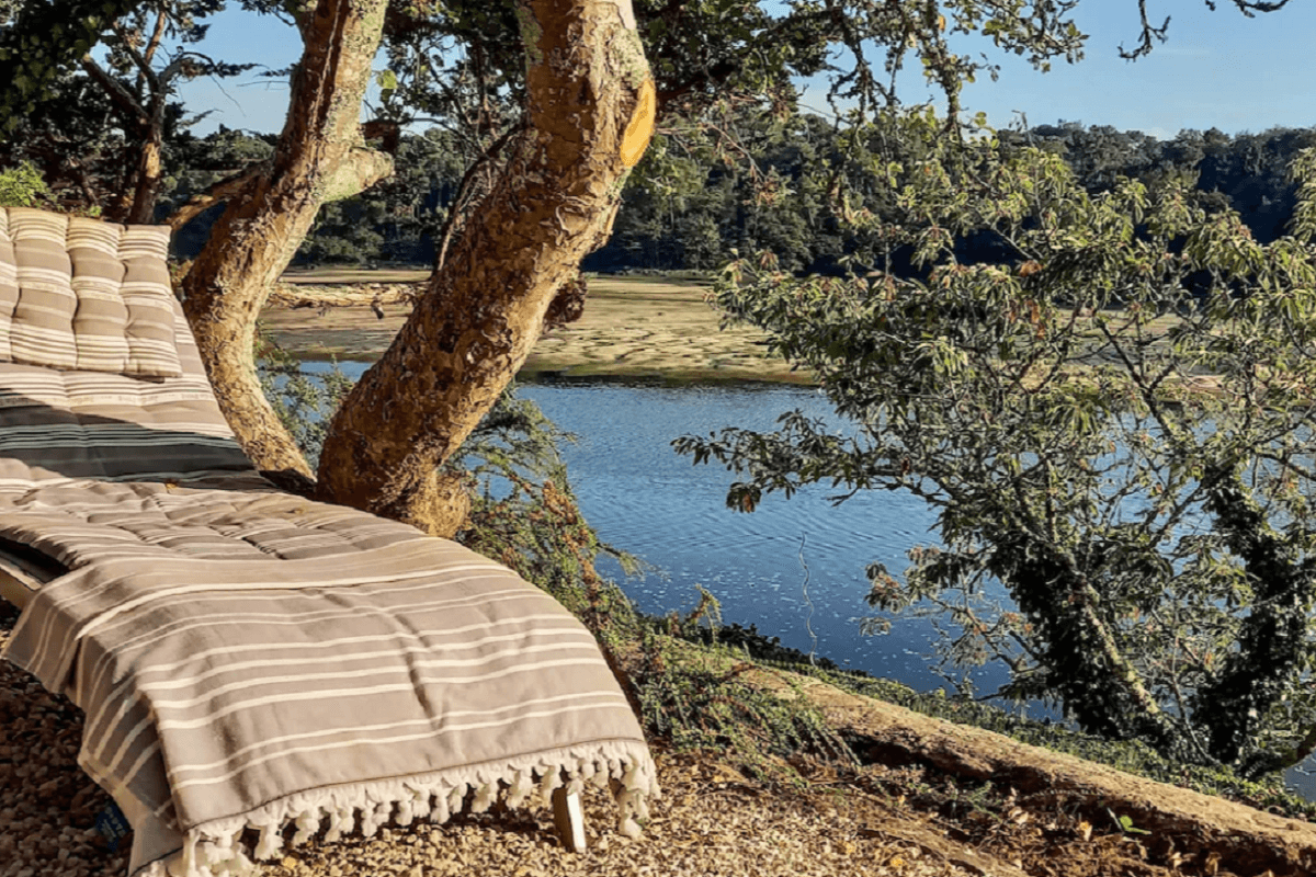 Photo n° 11 de la location