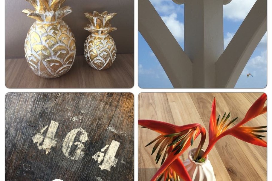 Photo n° 3 de la location