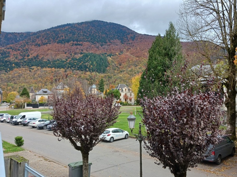 Vue du balcon à l'automne