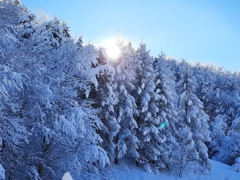 Photo n° 13 of the location