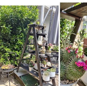 Espaces extérieur commun