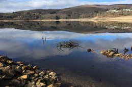 Image n° 2 de la location