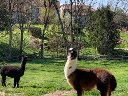 Environnement du jardin - Gites La Source du Rey