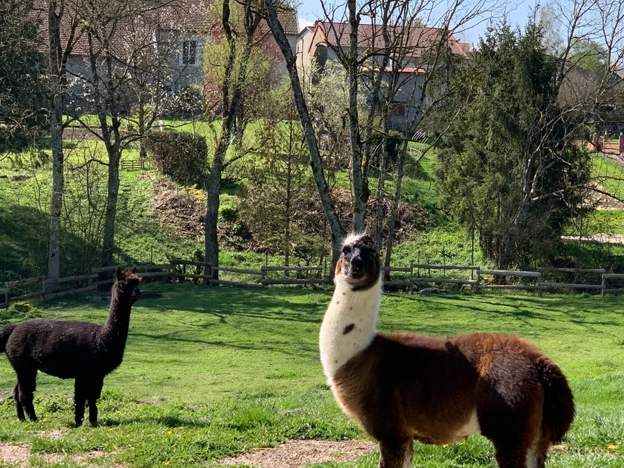 Environnement du jardin - Gites La Source du Rey