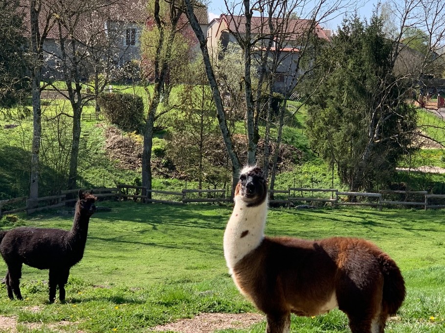Environnement du jardin - Gites La Source du Rey