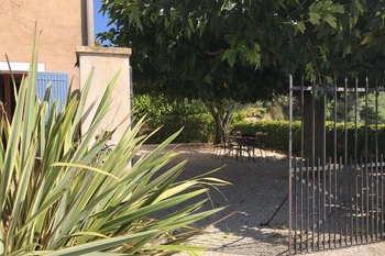 Vue sur le jardin ombragé ...